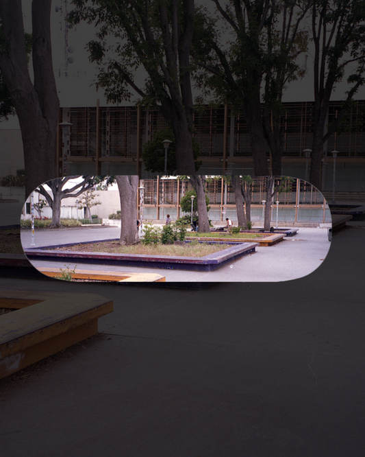 Photo Series 2 - Santa Monica Courthouse - Devise Deck