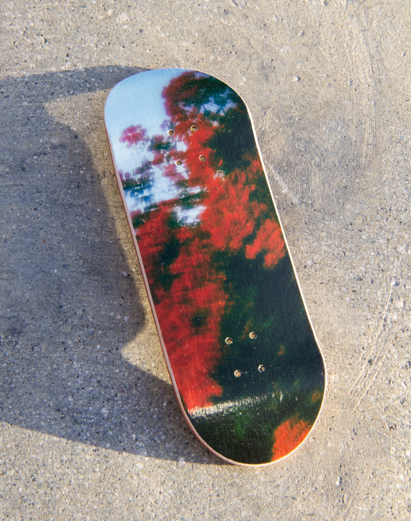 Photo Series 3 - Etnies Flowers - Devise Deck